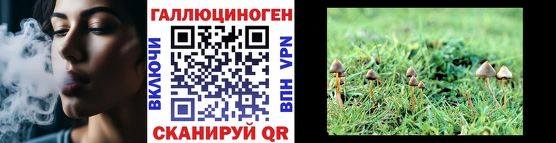 Псилоцибиновые грибы мухоморы  Тимашёвск 